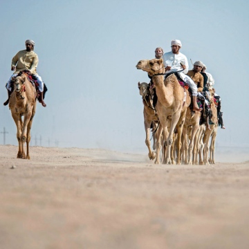صور: إرث الماضي مستمر عبر مدرسة متخصصة لتعليم ركوب الإبل في دبي!