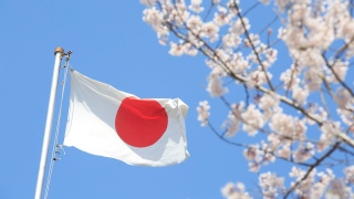 صور: اليابان تستقبل السياح من جديد بعد عامين ونصف من الاغلاق!