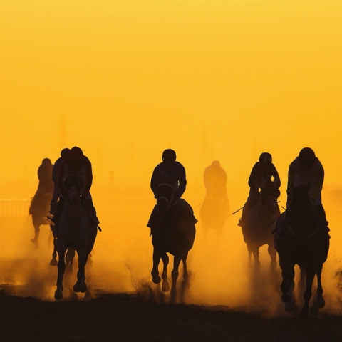 Photo: History of horse racing