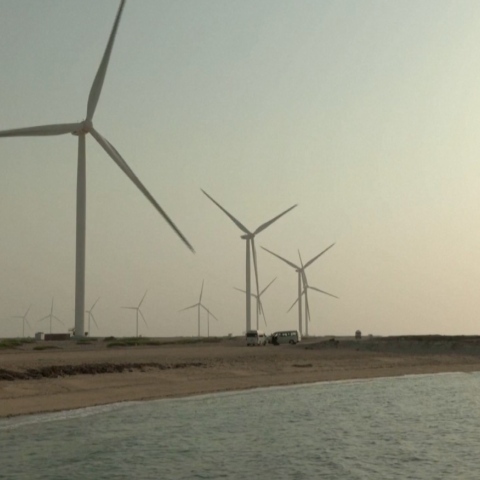 صور: ما هو برنامج طاقة الرياح في الإمارات؟