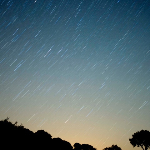 Photo: Dubai Reaches for the Stars