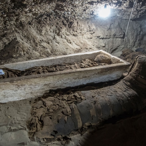 ${rs.image.photo} Ancient Mummies Uncovered