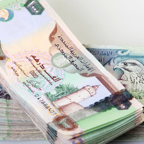 ${rs.image.photo} UAE Dirham Turns 44