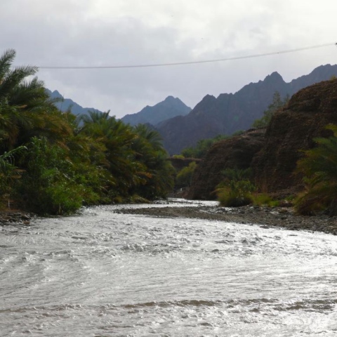 Photo: Green Hatta Roads and Energy