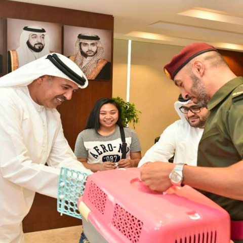  القط المفاجأة