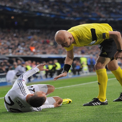 Photo: Stars and Cruciate Ligament