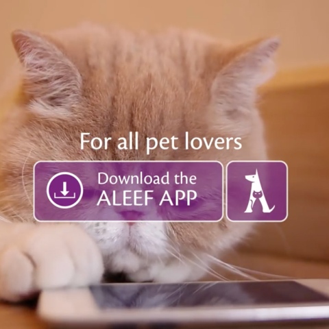 Photo: ‘Aleef’ Animal Adoption Platform