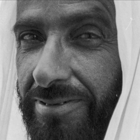 ${rs.image.photo} Year of Zayed