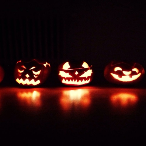  Trick or Treat!