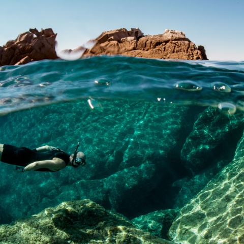 Photo: Underwater Paradise In UAE