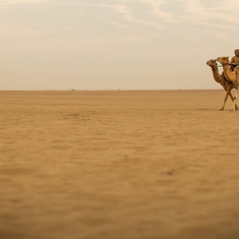 صور: أجمل رحلات الطرق في الإمارات