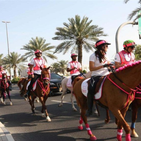 Photo: What Do You Know About Pink Caravan?