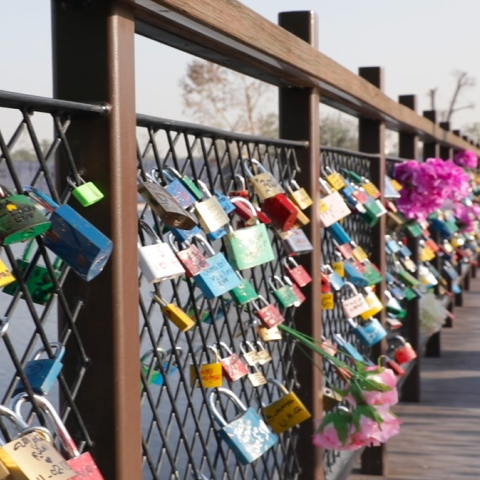 Photo: Bridge of love in Dubai