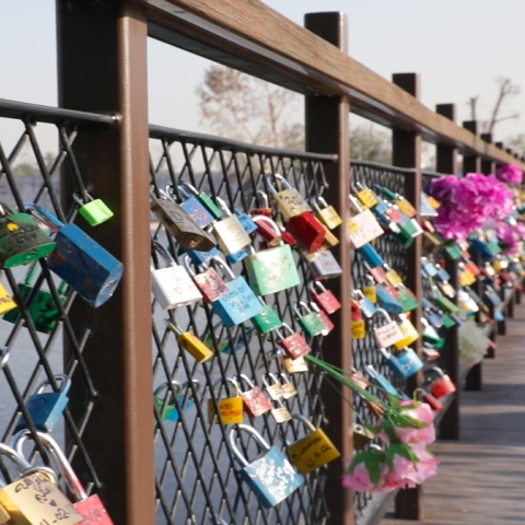 Photo: Bridge of love in Dubai