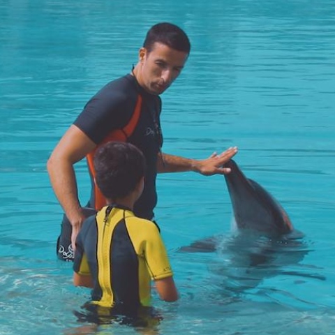 Photo: Fabio Silveria : passion for dolphins