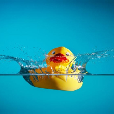 ${rs.image.photo} What's inside a rubber duck?