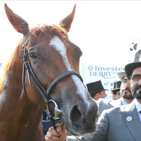  Godolphin’s moment of glory