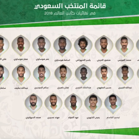  الأخضر في كأس العالم