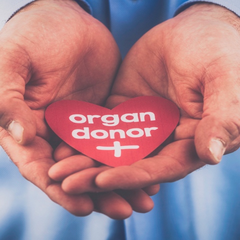 Have you thought of donating your organs after death?