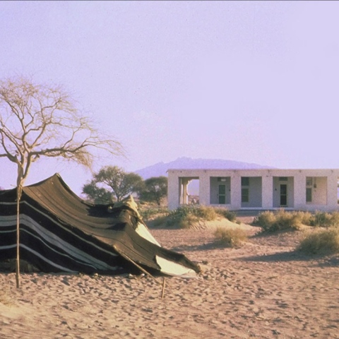  "مستشفى الواحة" عبقرية وتسامح