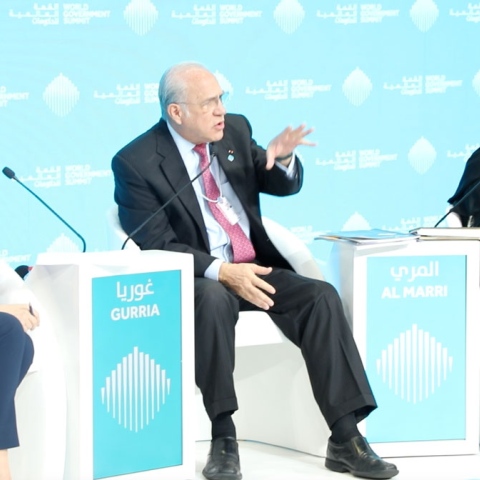  الإمارات مثال ناجح للتوازن بين الجنسين