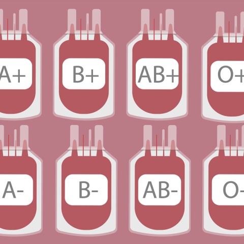 صور: ماذا تعرف عن فصائل الدم؟