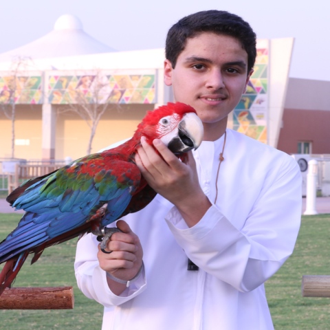 Photo: Flying high: Training birds to roam