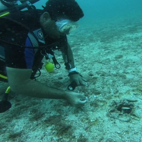 Photo: 'Hole in the wall' diving deep in the depths of Fujairah - Saleh Al Dhouri