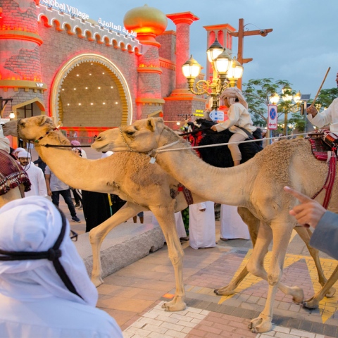 صور: رحلة الهجن.. إلى أعماق صحراء دبي