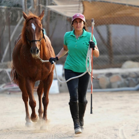 Photo: Female Saudi Horse Trainer Sees Hope for Women