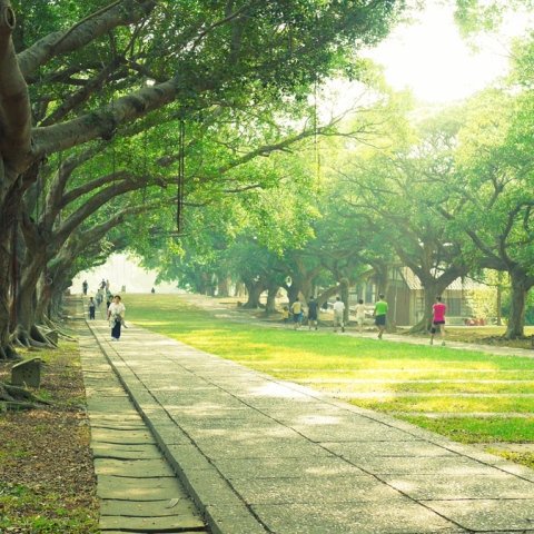 Photo: Dubai 'Parks' on its Biggest Project