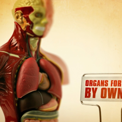 Photo: Organs for Sale