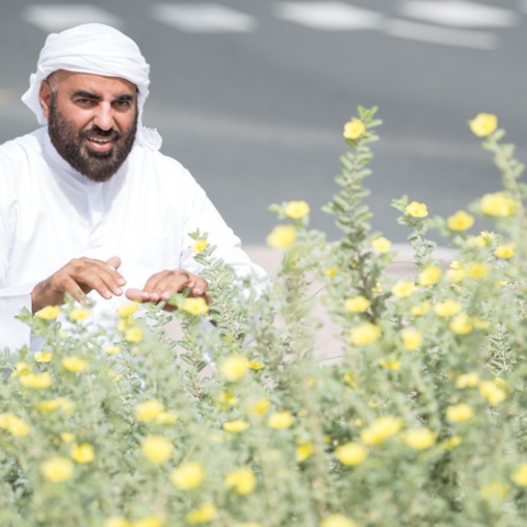 صور: محمد الزعابي: حديقة الاتحاد ثرية بالنباتات المحلية