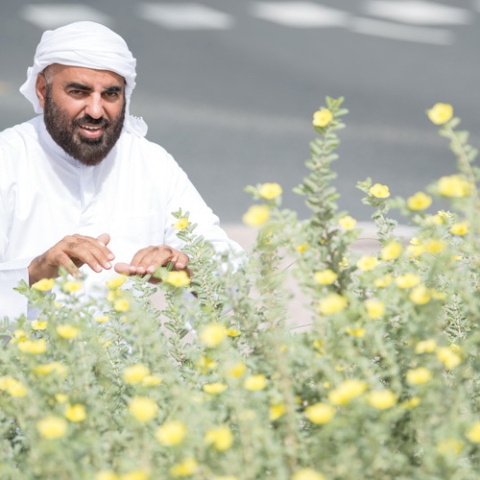 Photo: Mohammed Al Zaabi: Local Plant Lover