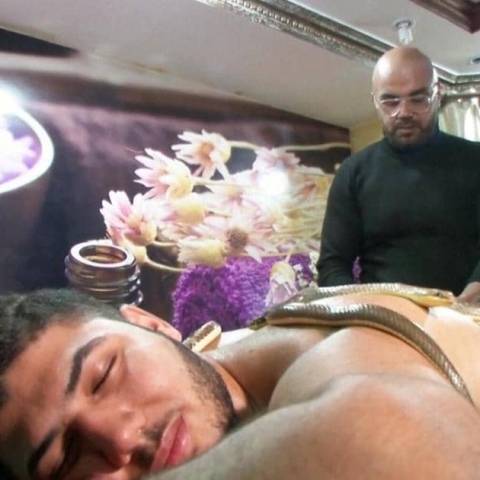  التدليك بالثعابين في مصر.. للتخلص من الآلام!