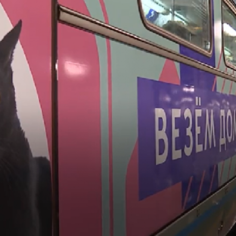 صور: قطار ذكي لتبني الحيوانات الأليفة في روسيا!