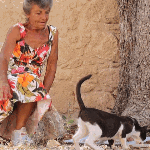 صور: غاينور يورييو.. بريطانية في قبرص تكرّس حياتها للعناية بالقطط المشرّدة